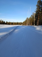 Kuvat otettu 26.3.2025